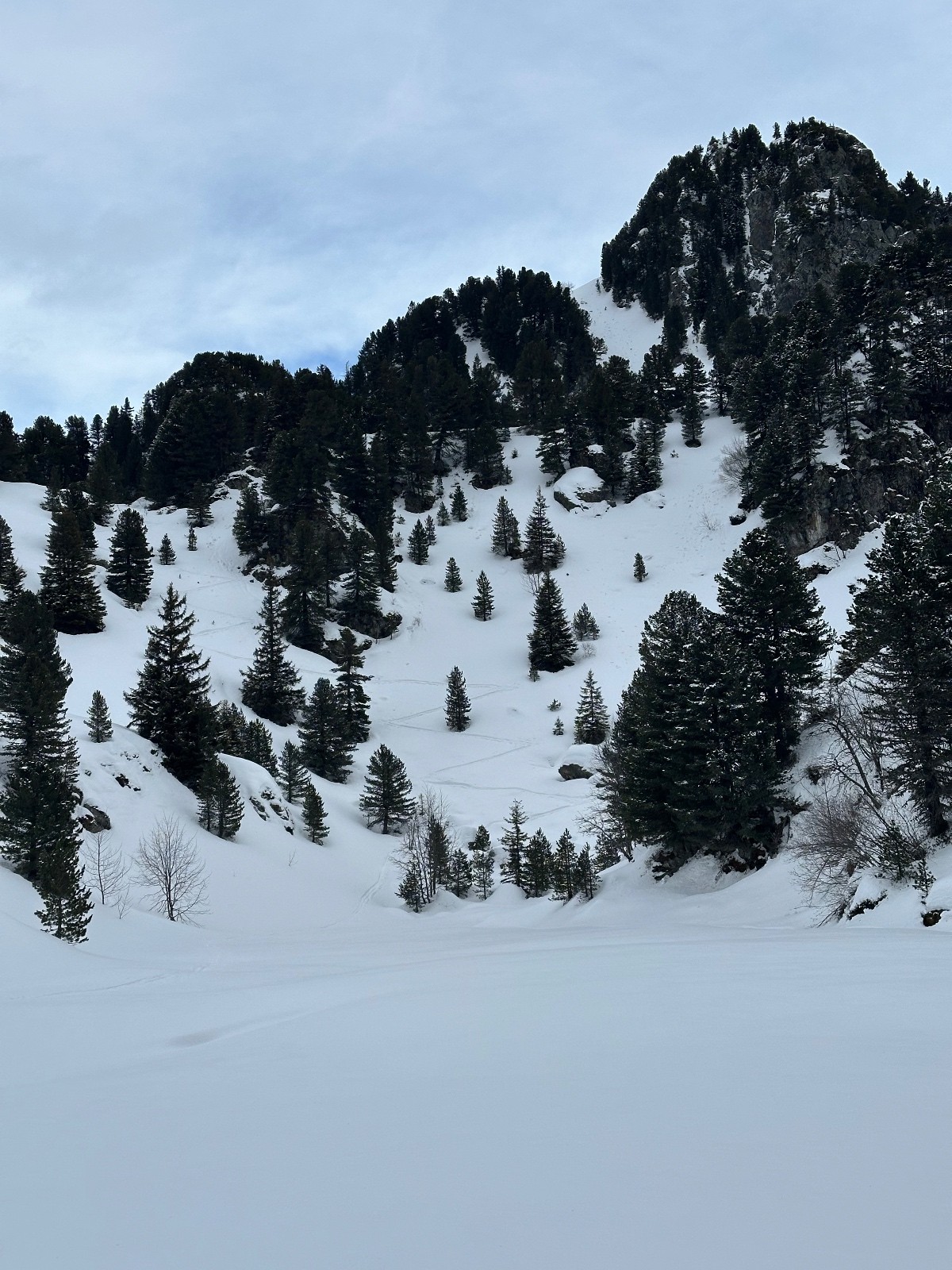 #2 trace pour le petit Eulier ? trace pour le petit Eulier ?