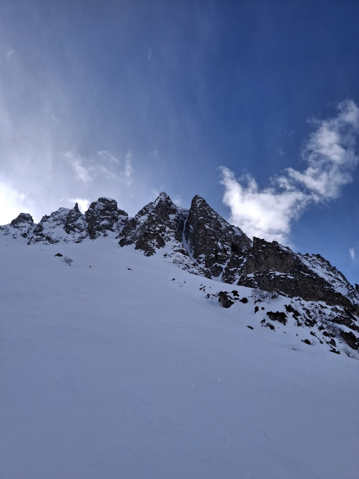 Vue de la face (23/01)