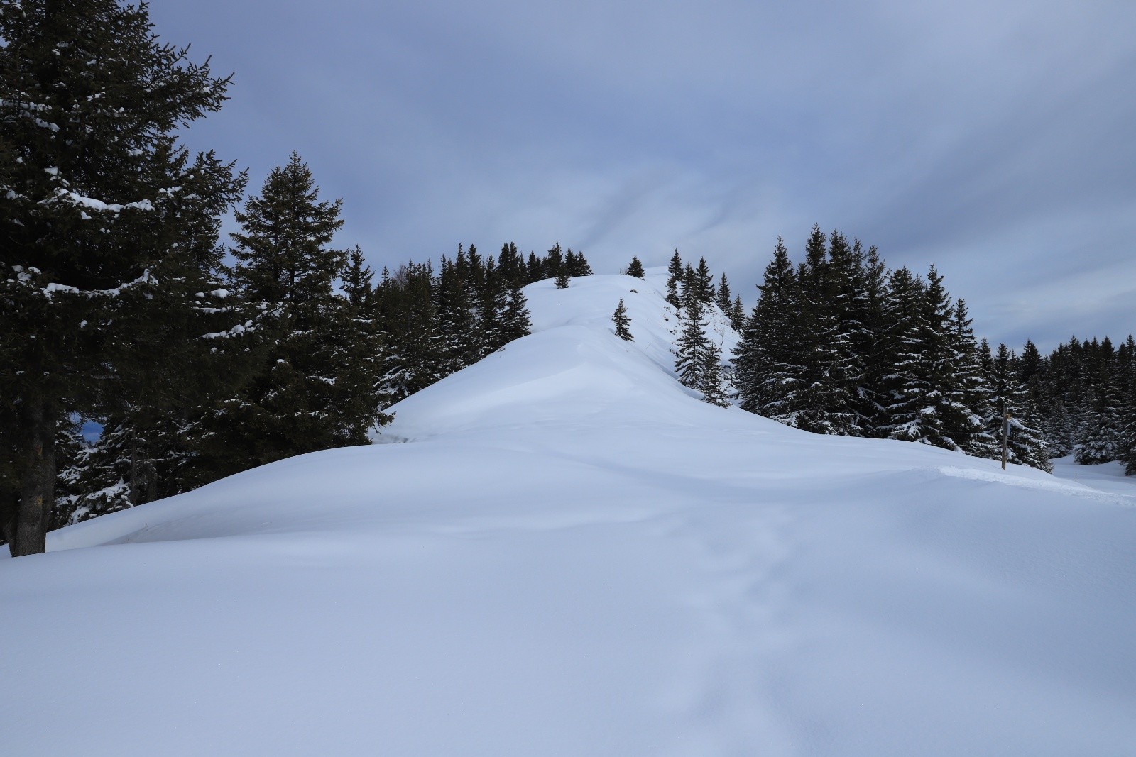 &nbsp;Le Crêt Luisard vierge de traces