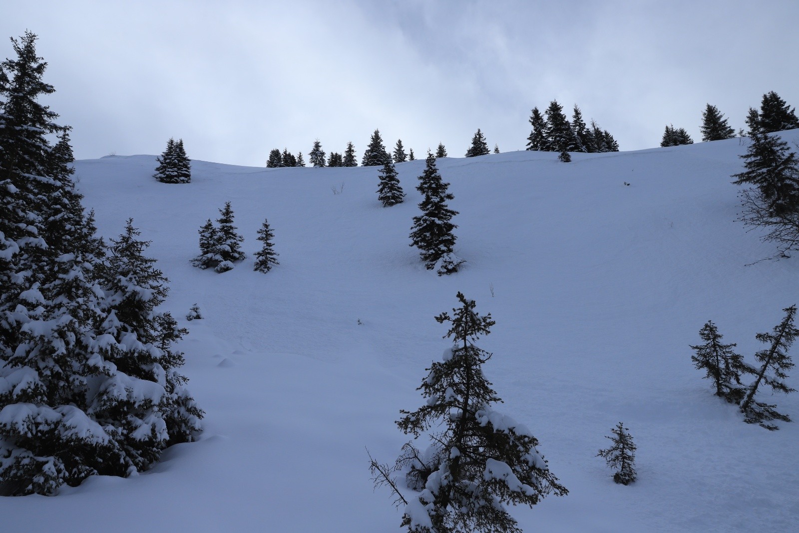 Face Nord du Crête Luisard. On voit la petite plaque partie...&nbsp;