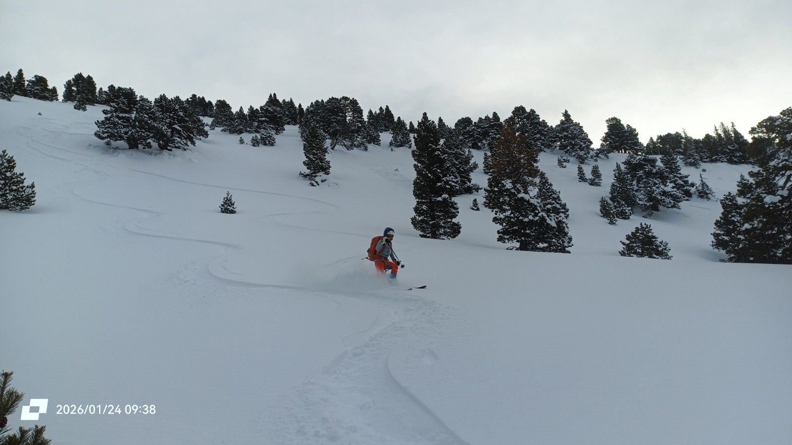 Excellentissime en forêt ouest 