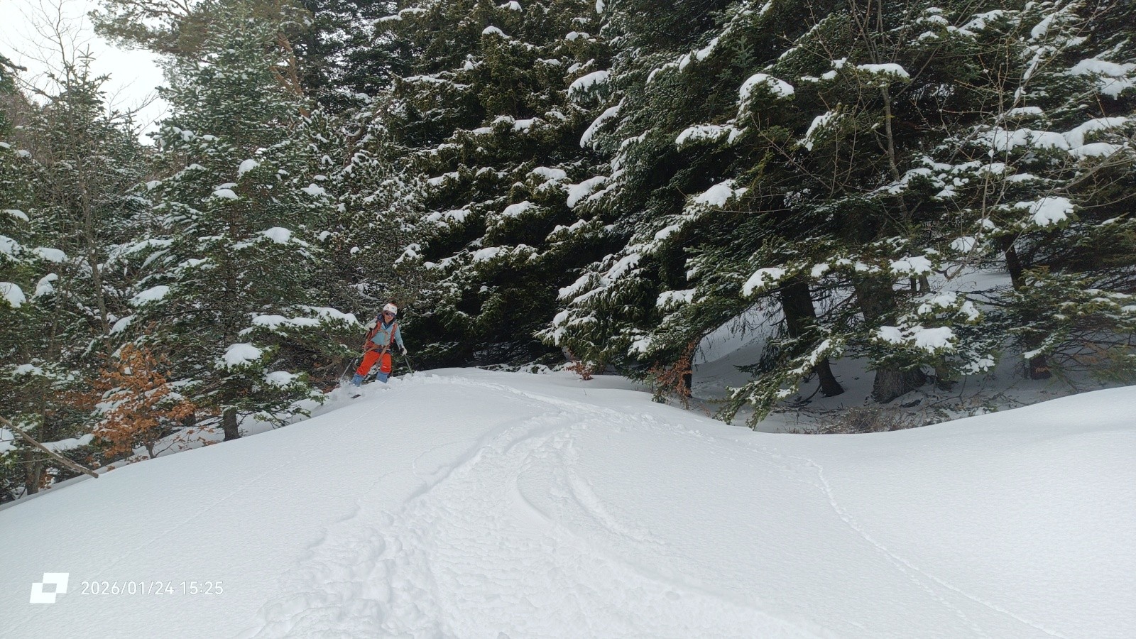ça passe même en forêt au dessus de 1300m 