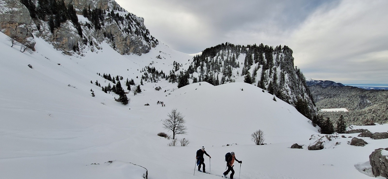 Mauvernay en fond&nbsp;