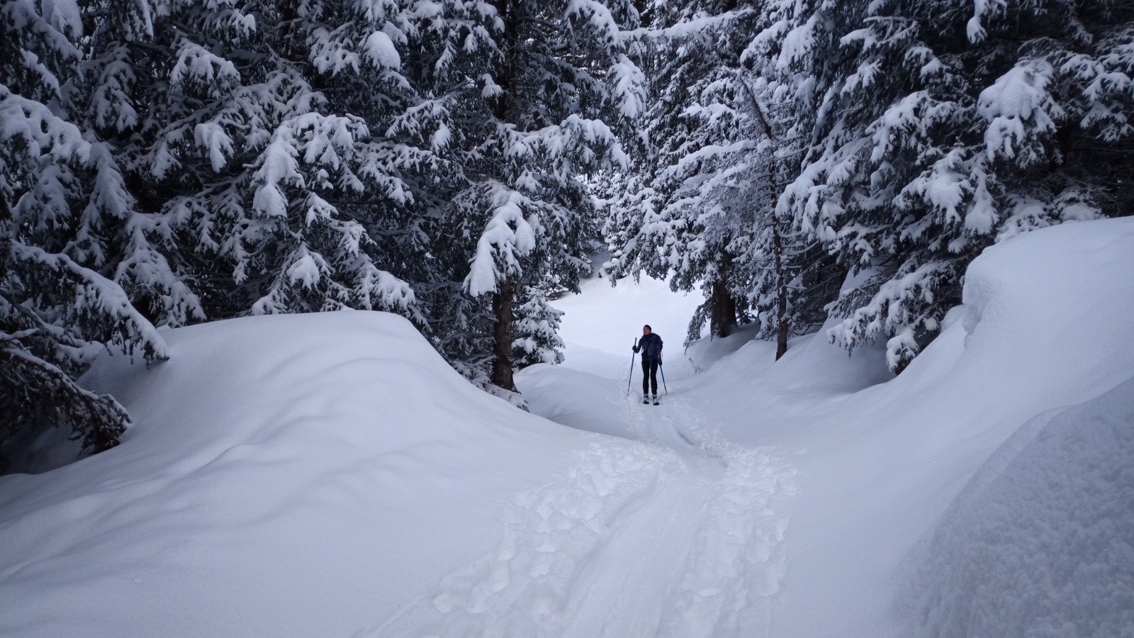 Dans le border cross