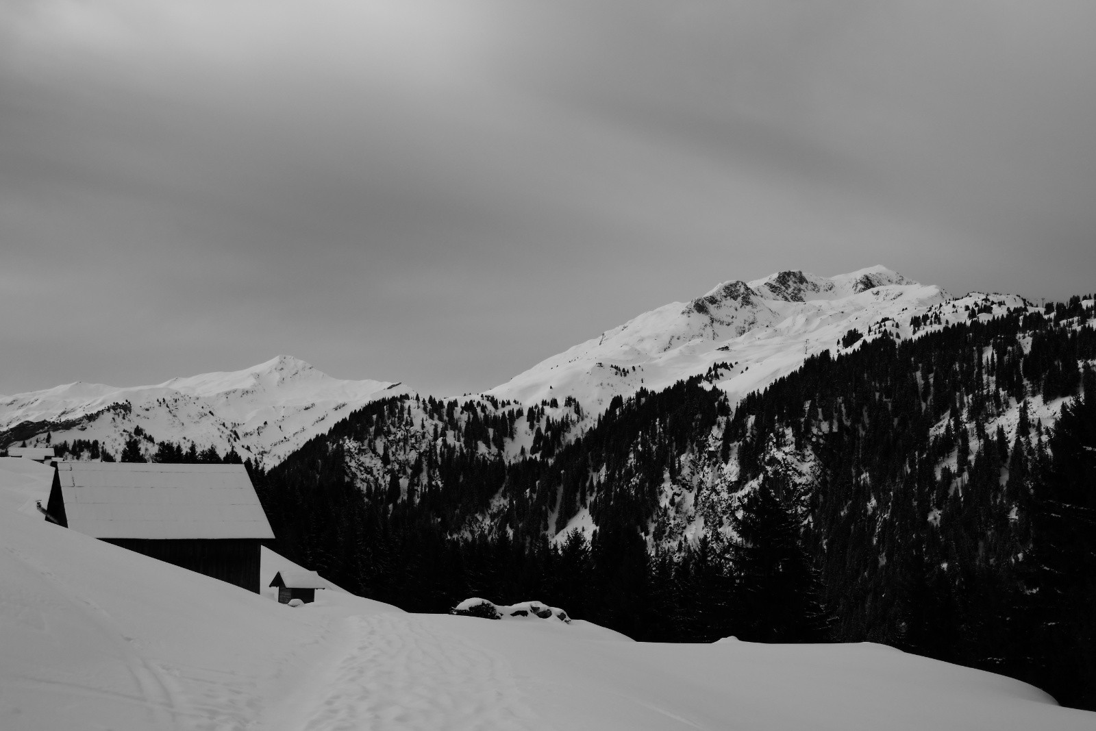 Côté Grand Mont...