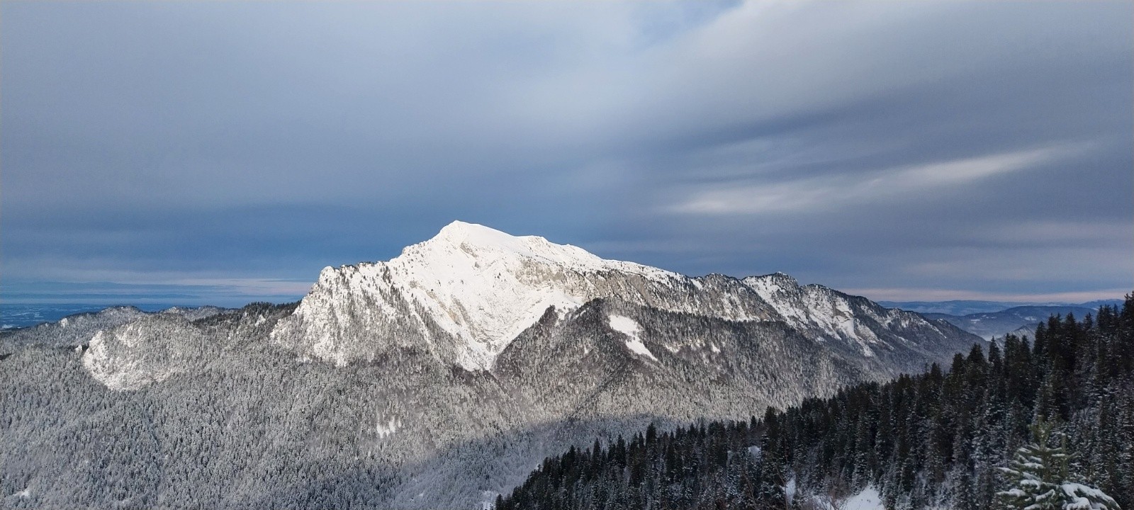 #1 grand Som grand Som