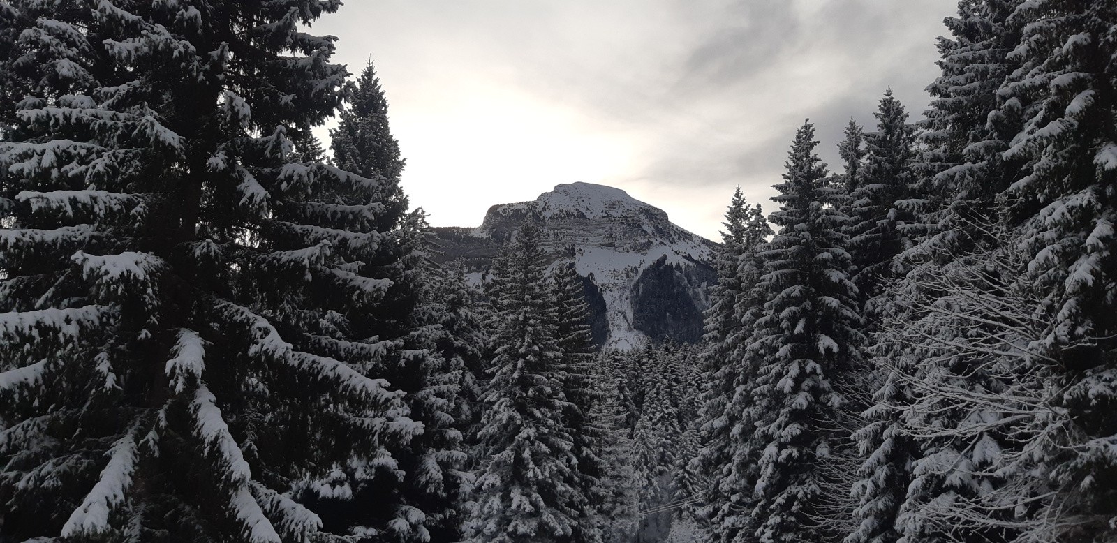 #1 Le maitre des lieux Le maitre des lieux