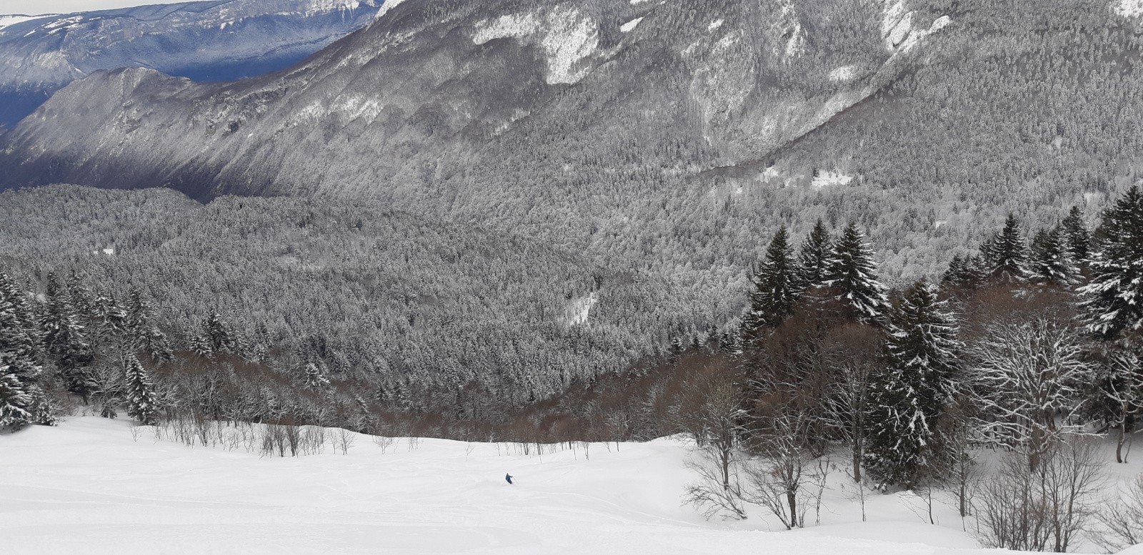 #4 Champ de poudreuse Champ de poudreuse