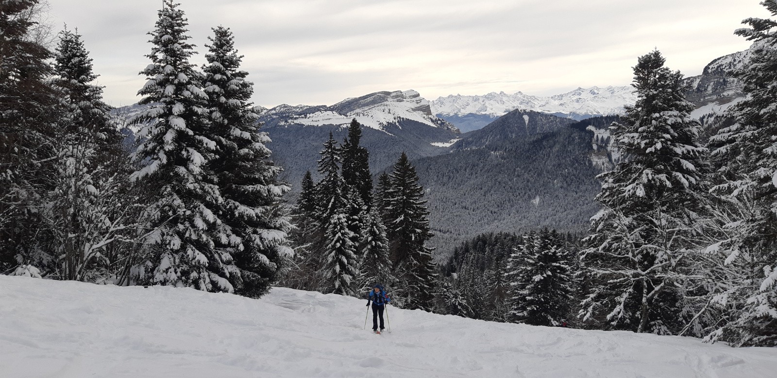#3 nombreux traçage dans la poudreuse nombreux traçage dans la poudreuse