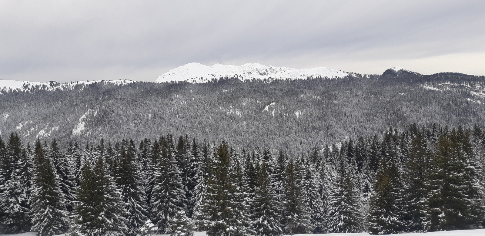 #8 Au fond la Grande Sure Au fond la Grande Sure