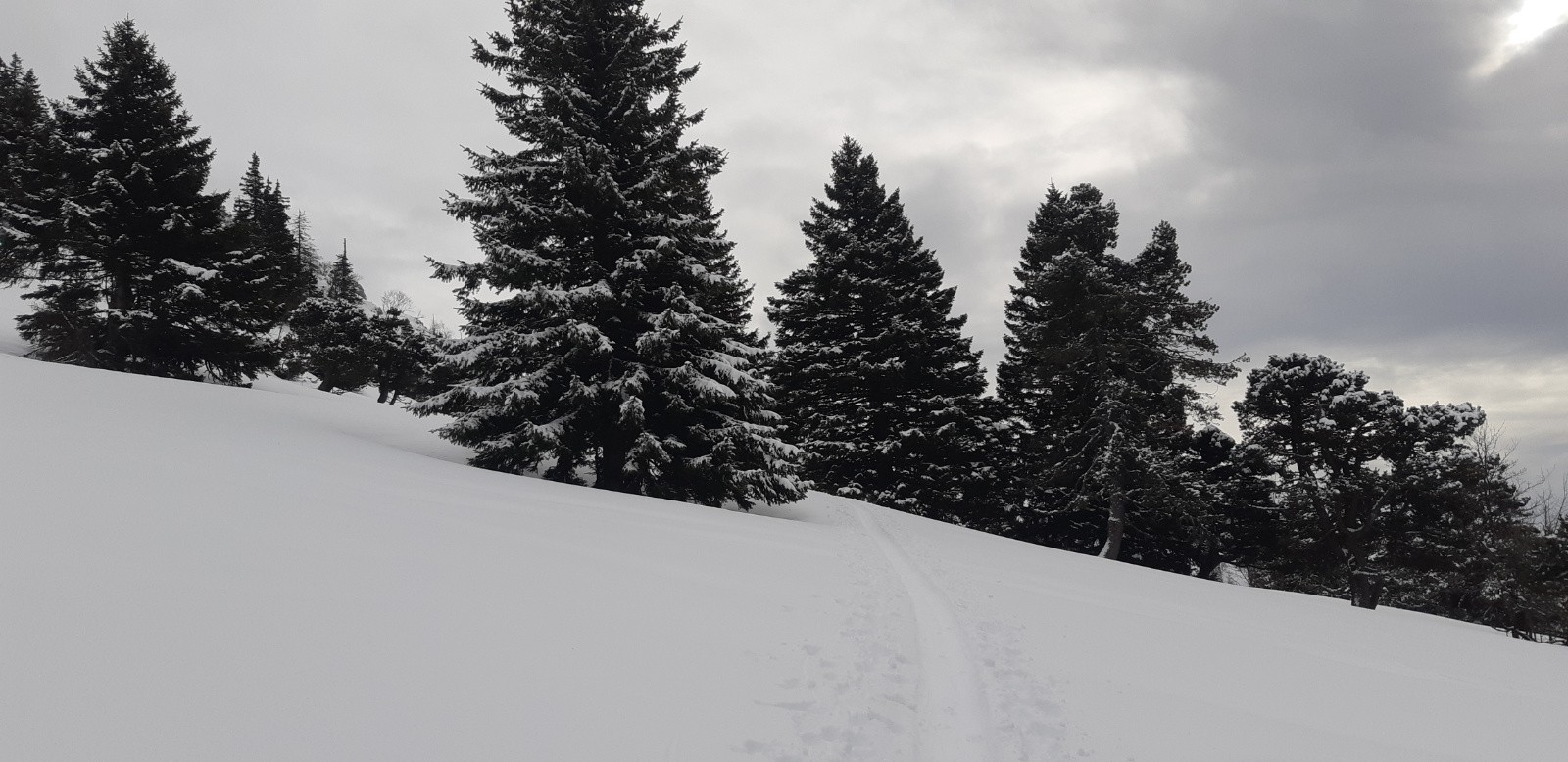 #7 Clairière Chartrousine Clairière Chartrousine