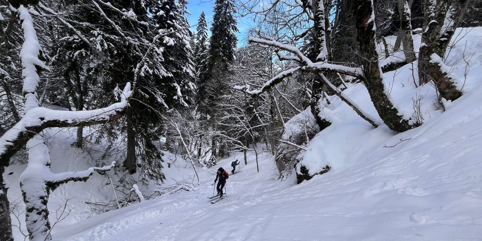 &nbsp;remontée à l'Orgeval