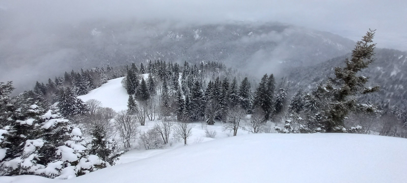 &nbsp;vue sur Clos Colomb