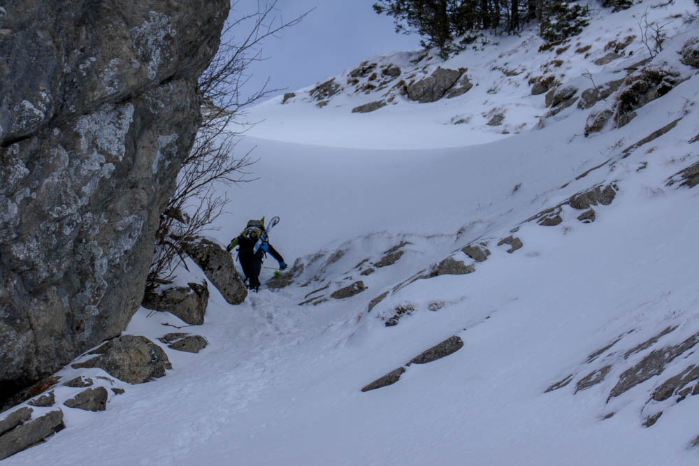 ca passe comme un chat