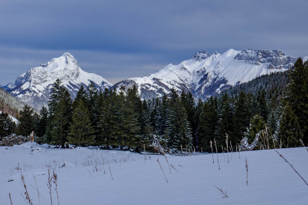 Trélod, le magnifique