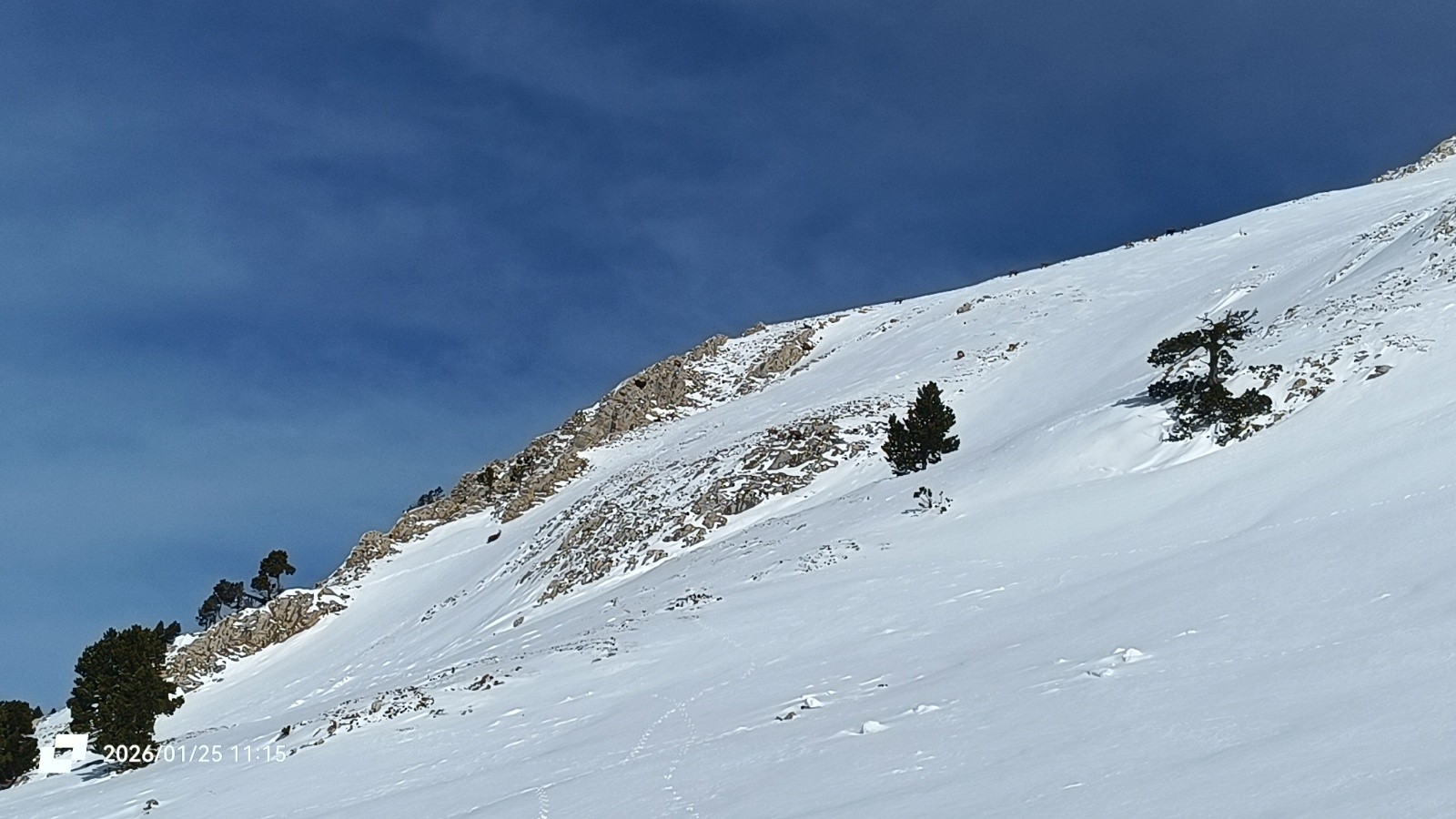Nos amis du jour&nbsp; 