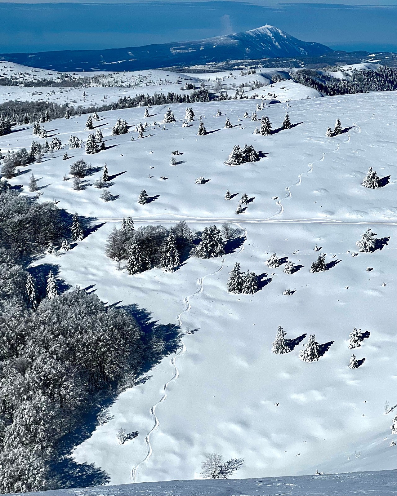 #2 Première descente de mise en jambes, au fond le Géant de Provence Première descente de mise en jambes, au fond le Géant de Provence