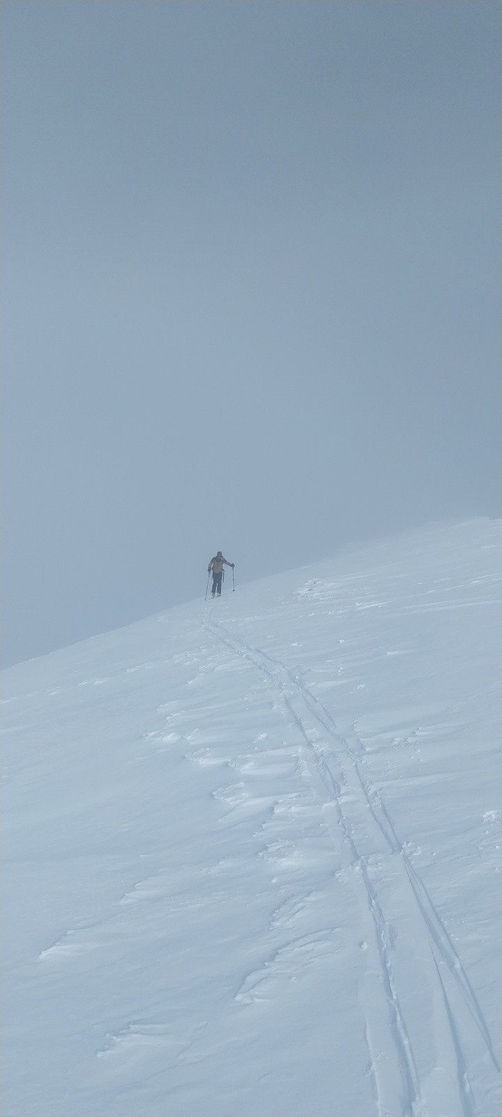 Ludo sort de la grisaille&nbsp;