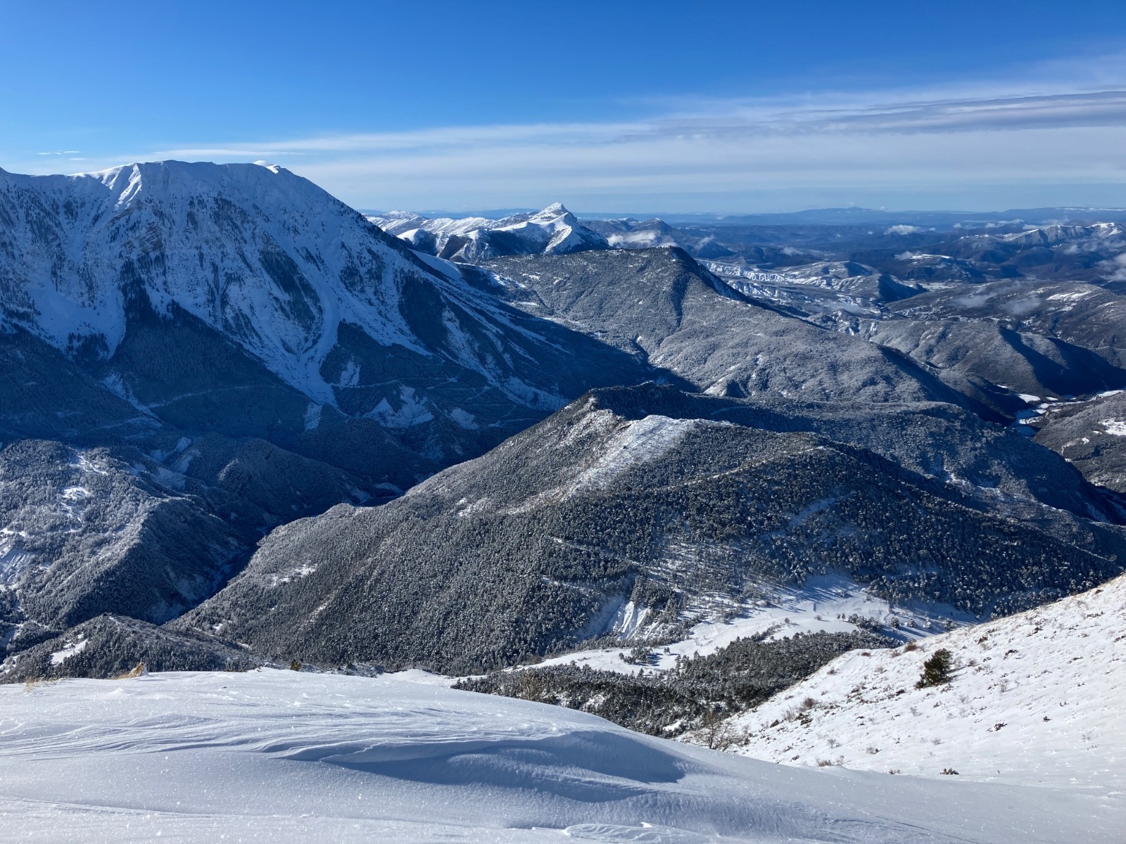 Magnifique face N du cheval blanc