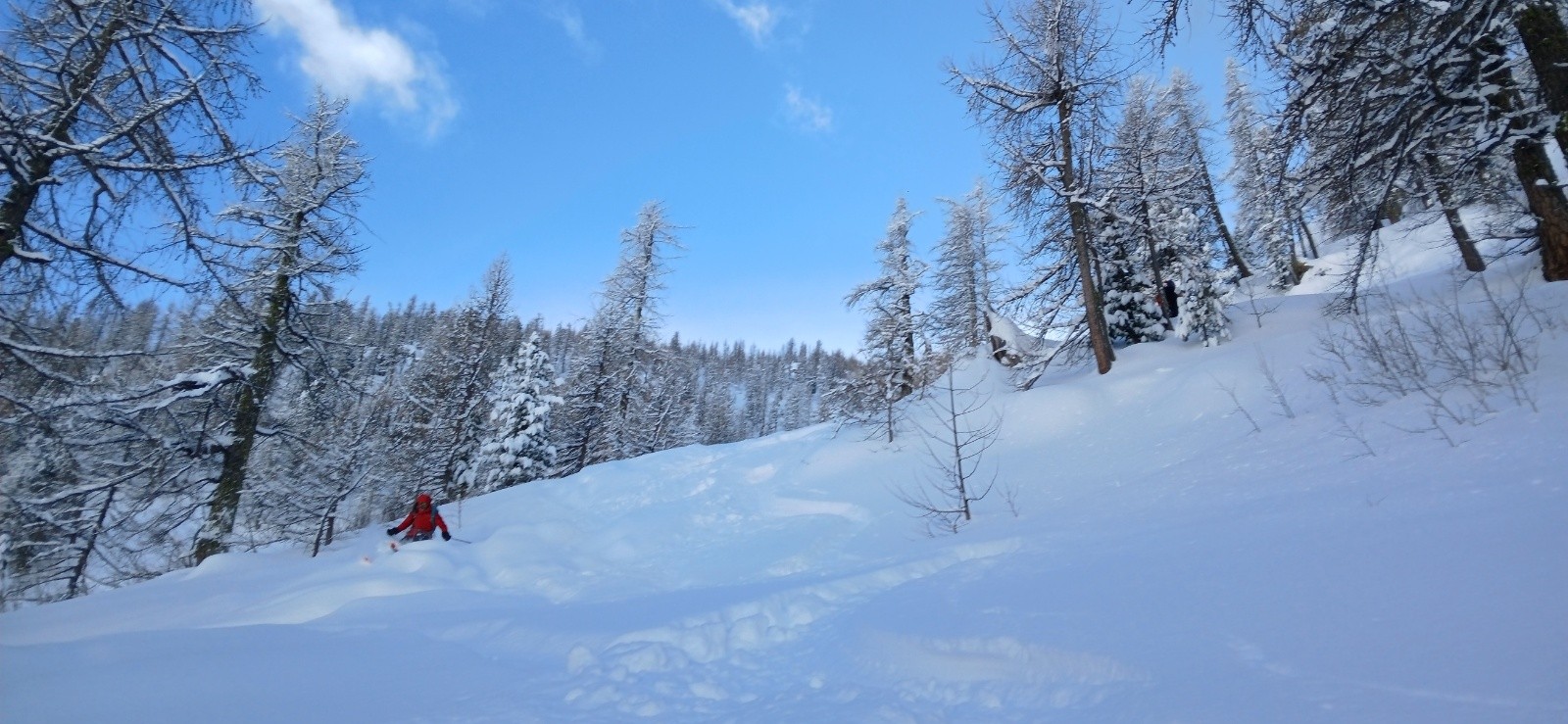&nbsp;Les grands mélèzes au fond et la facette à skier pour arriver au passage.