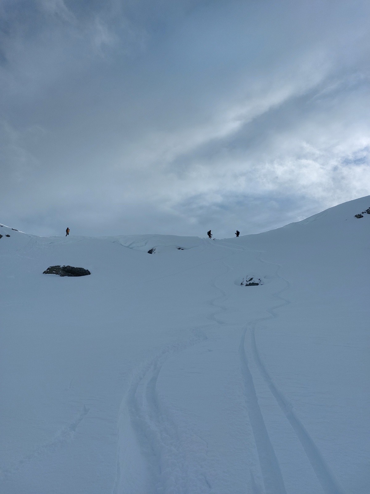 &nbsp;dernier dépeautage !