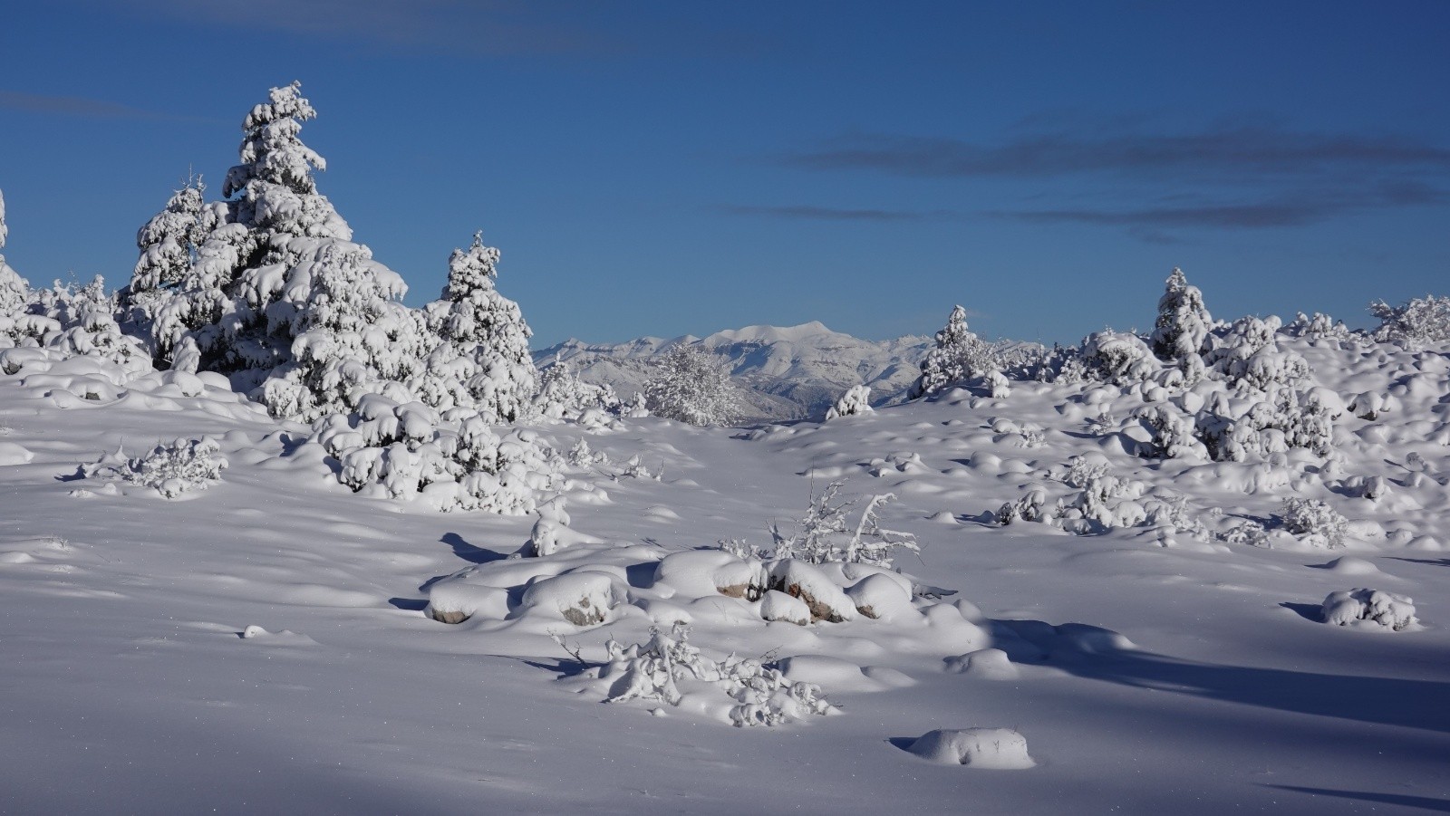 Un enneigement que l'on apprécie dans les Préalpes de Grasse