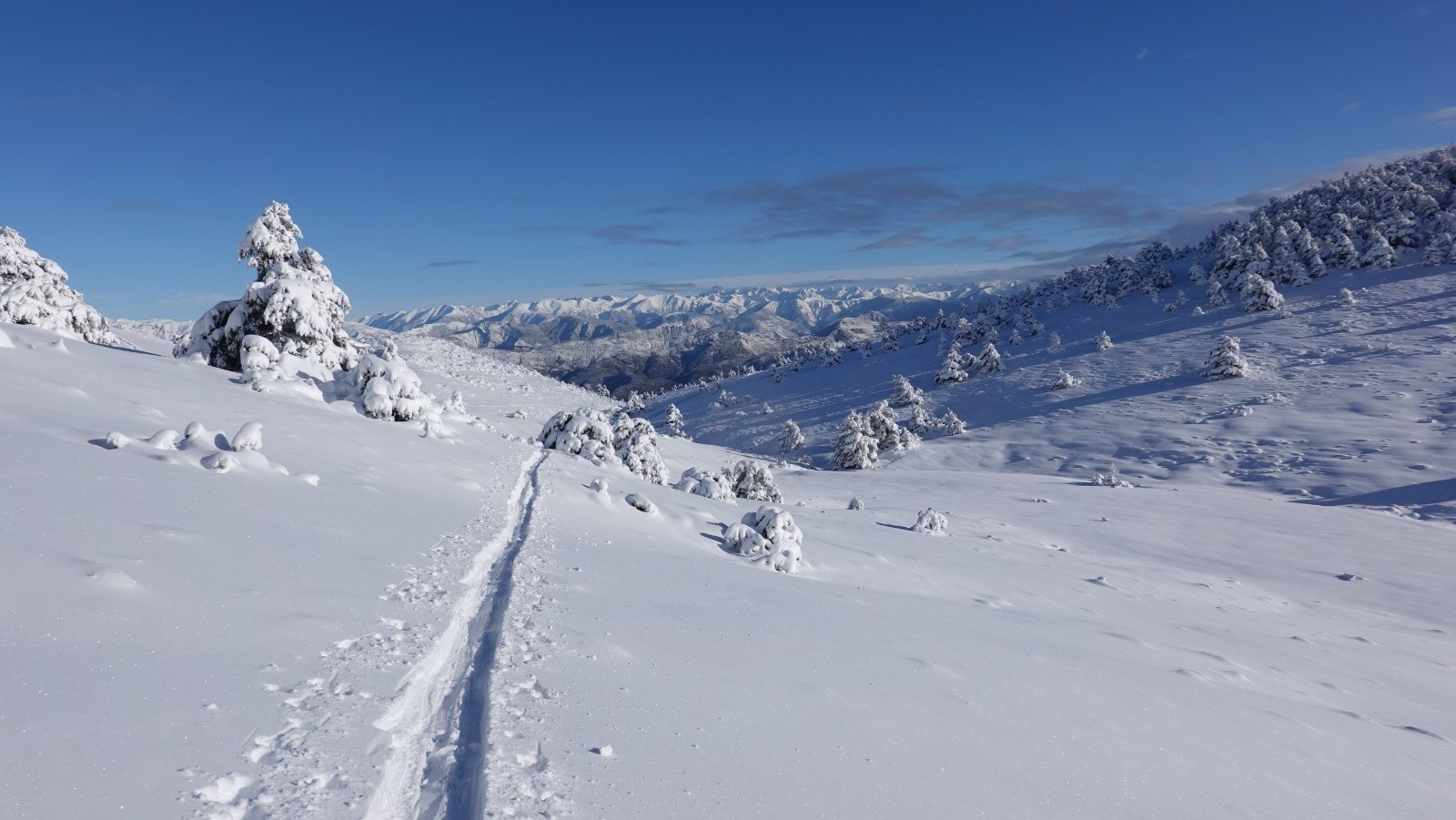 Coup d'œil dans le rétro