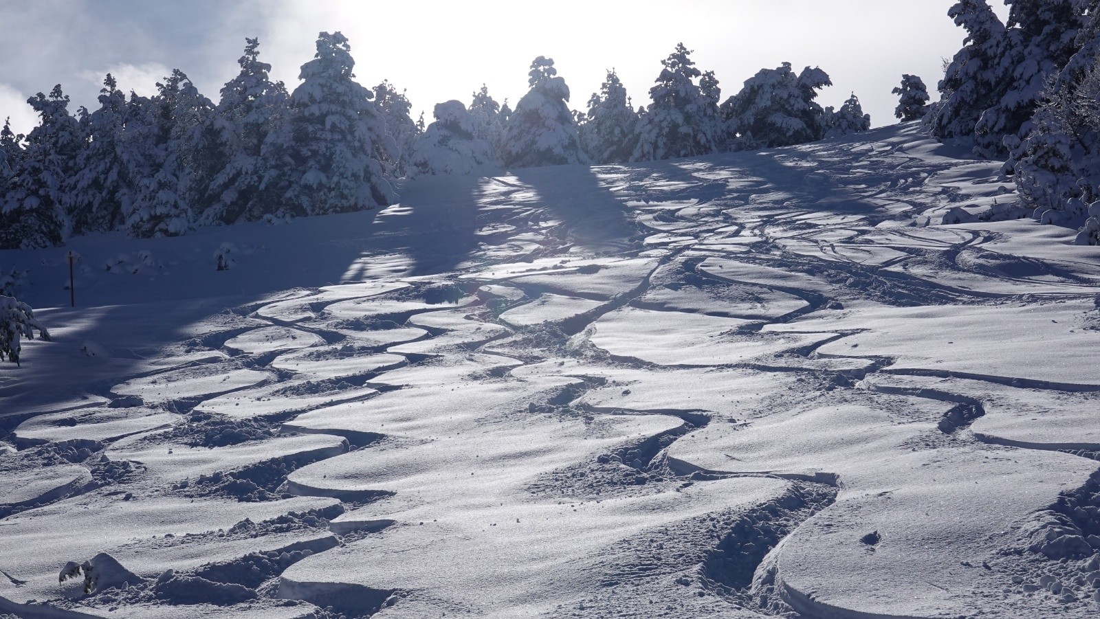 C'était très bon😊