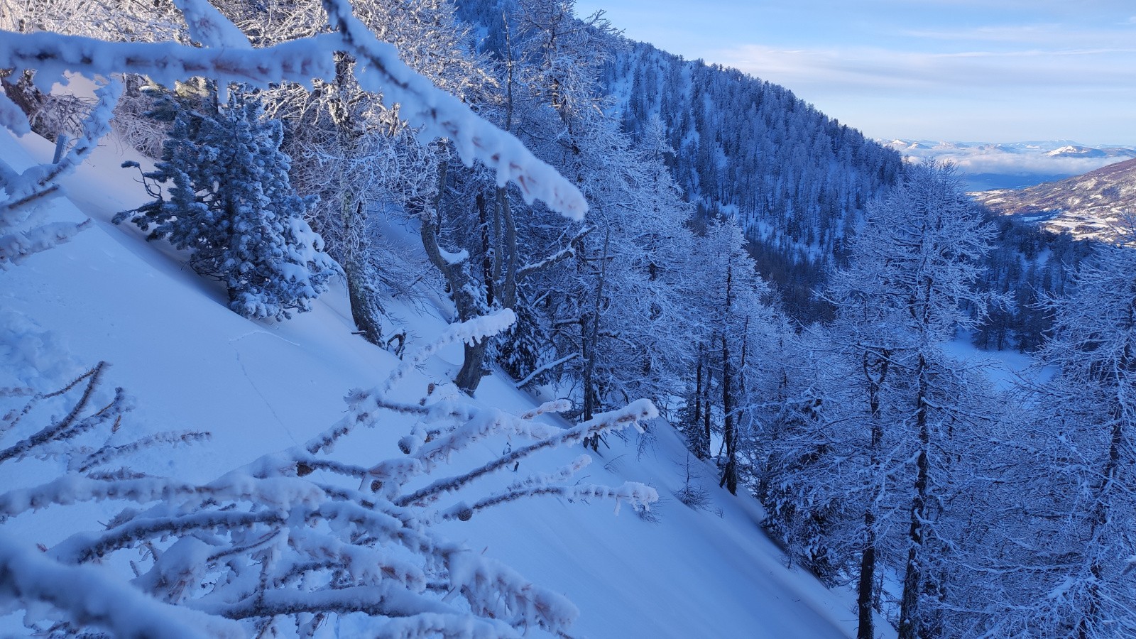 Fissure (sur la gauche), arbre en dessous... je me casse