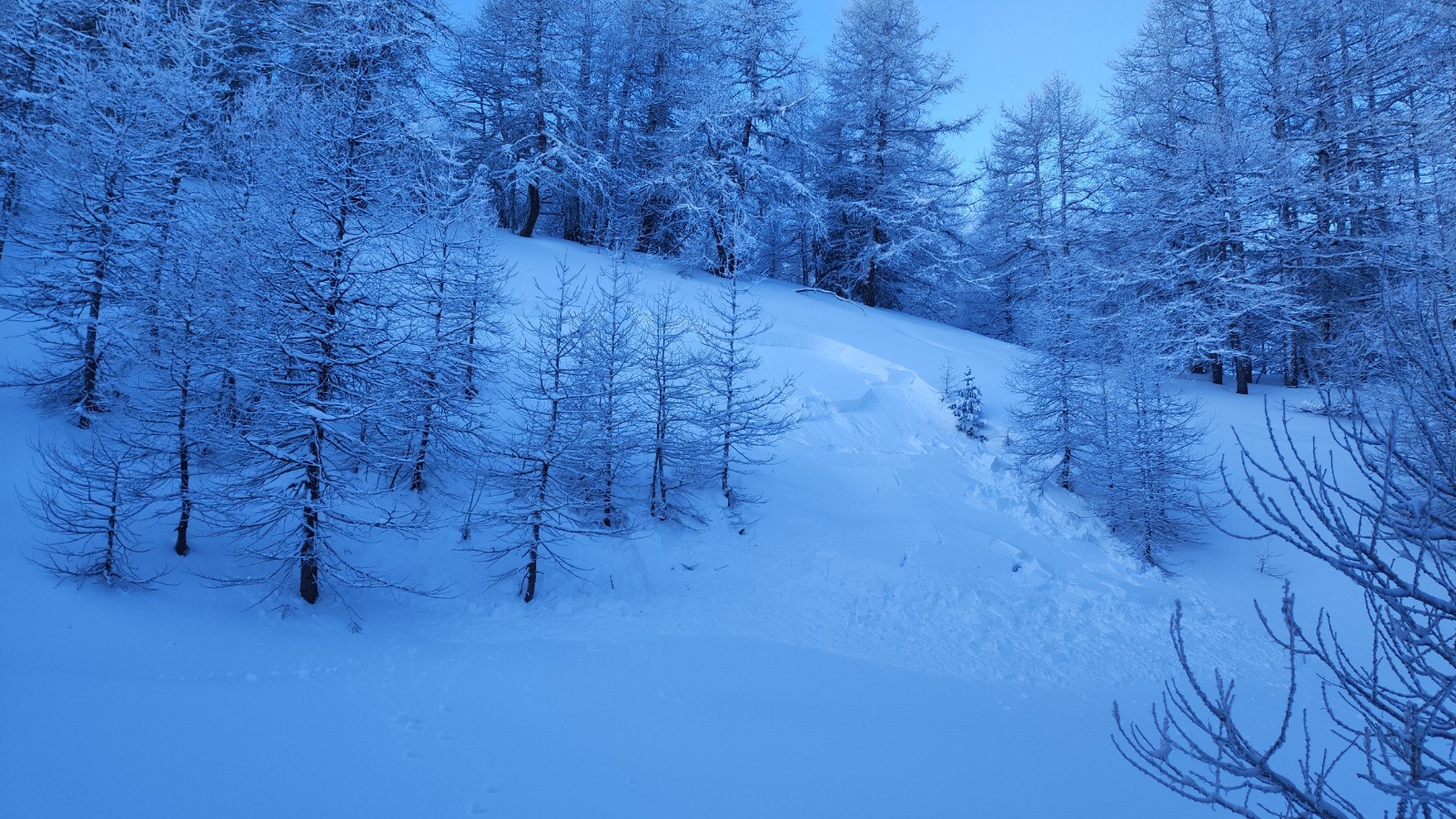 Déclenchée à distance