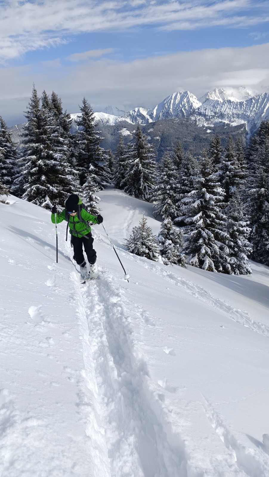 Vue de Belledonne nord
