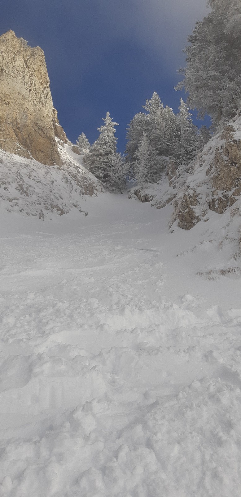 on a ravagé un peu ! 