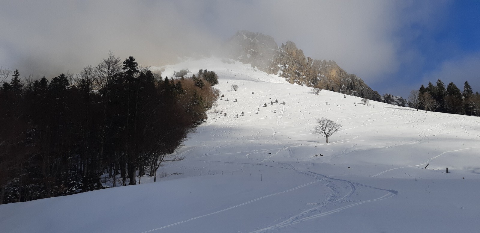 Prairie w du petit som 