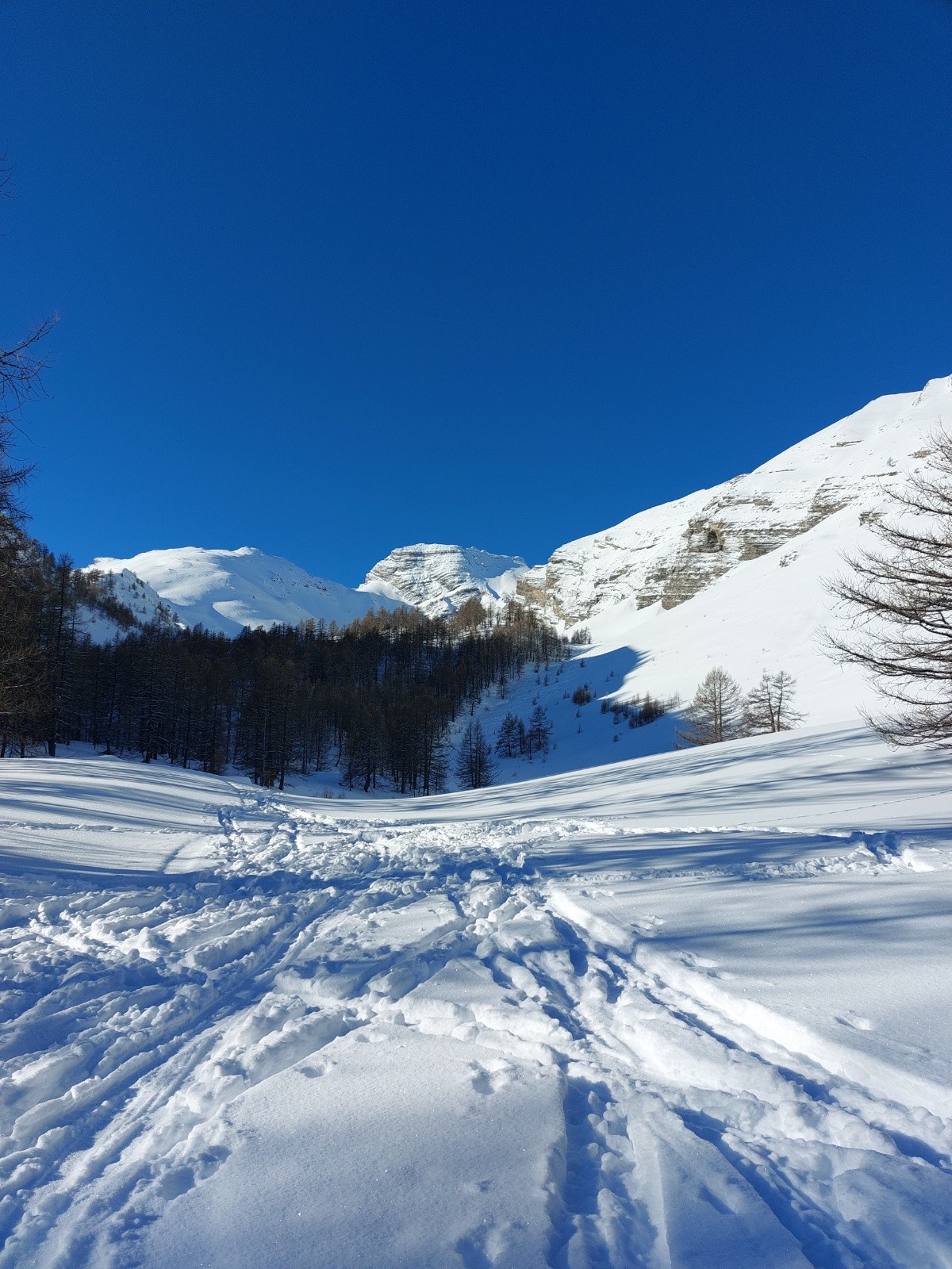 &nbsp;à la sortie de la foret, le sommet caché à droite