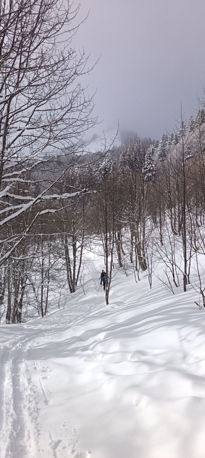 &nbsp;La Pinéa dans les nuages&nbsp;