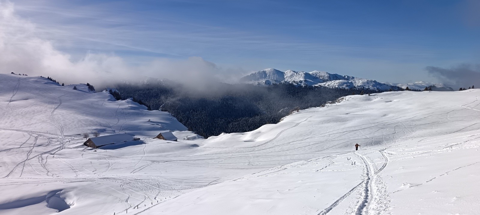 Bergerie et Gde Sure au second plan&nbsp;