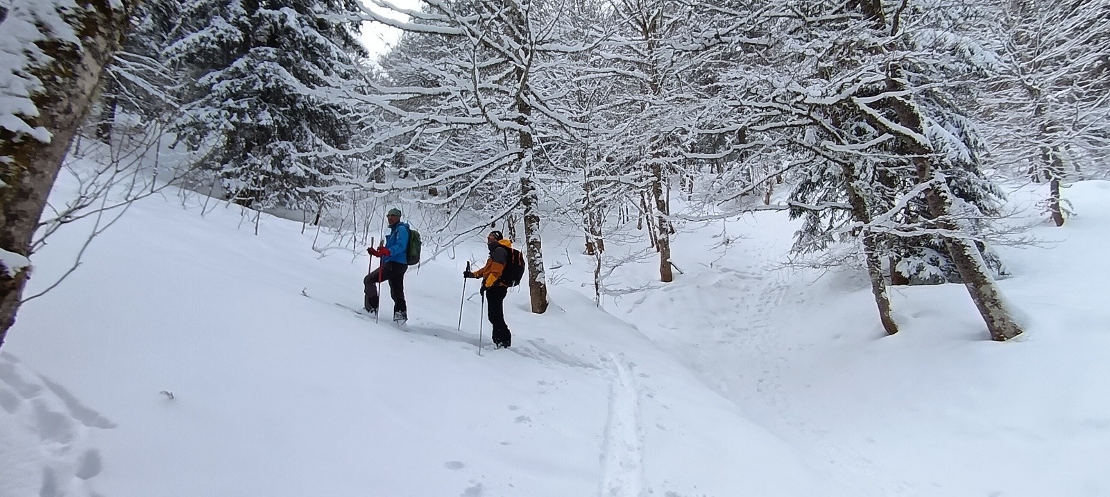 &nbsp;Agréable montée sur la Pinéa&nbsp;