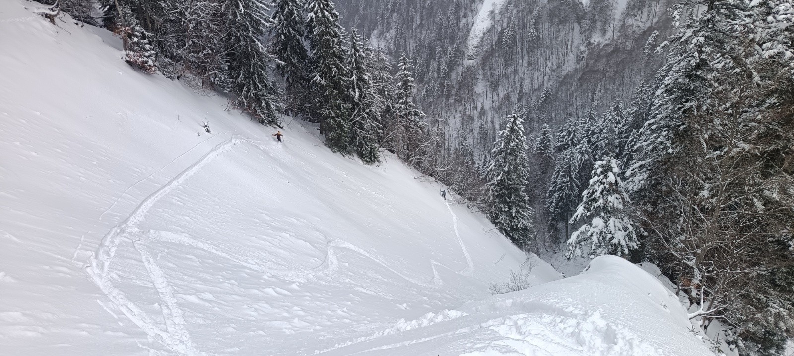 Vermorel, Combe cul de sac&nbsp;