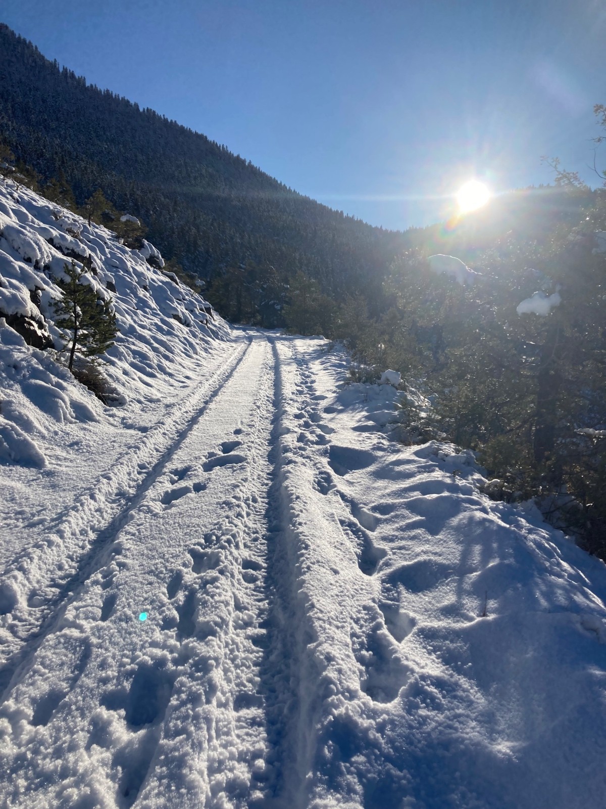 Route du bois noir avec le col de la Serena au fond