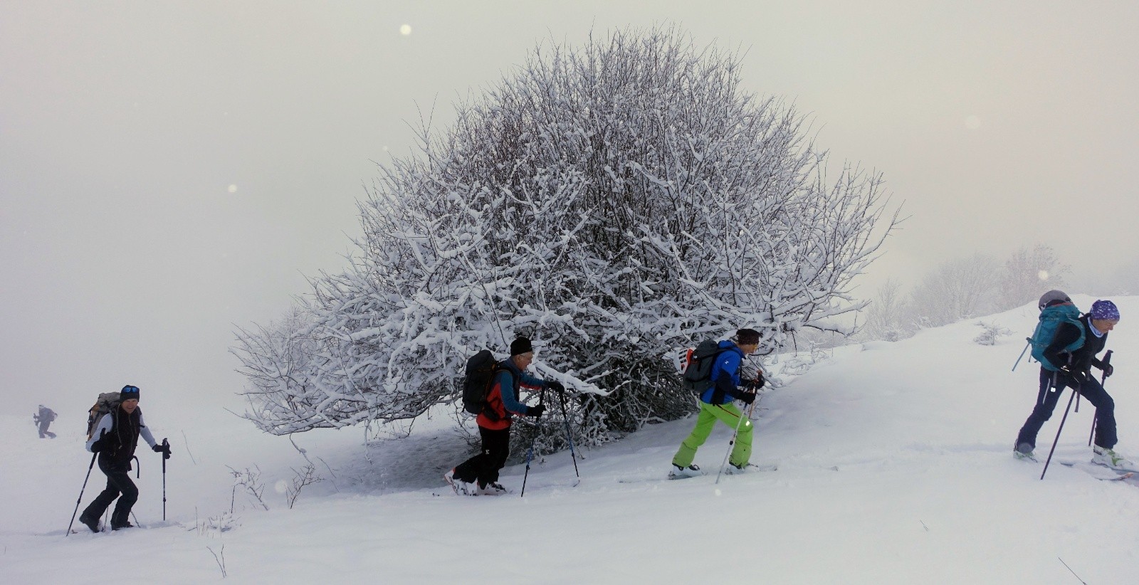 concentration max ...