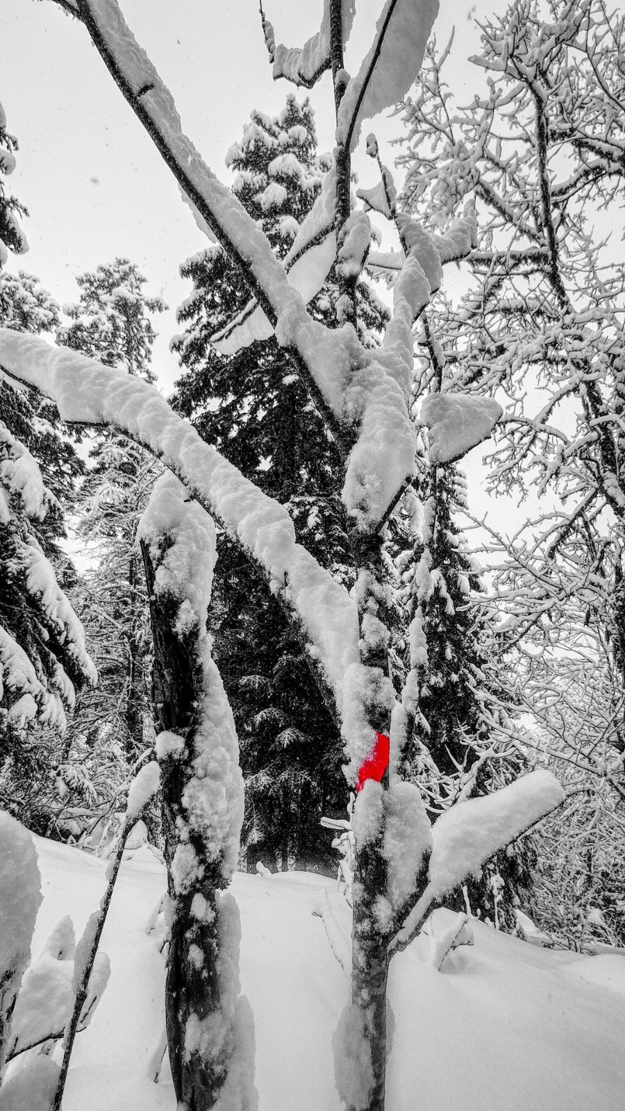 Trace de poétesse ?