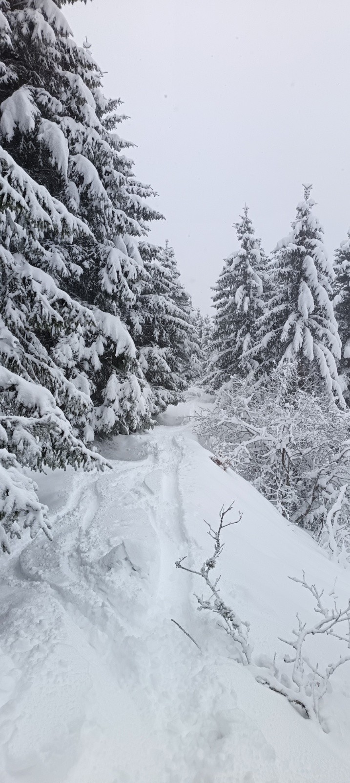 &nbsp;Haut du chemin d'accès à la combe&nbsp;