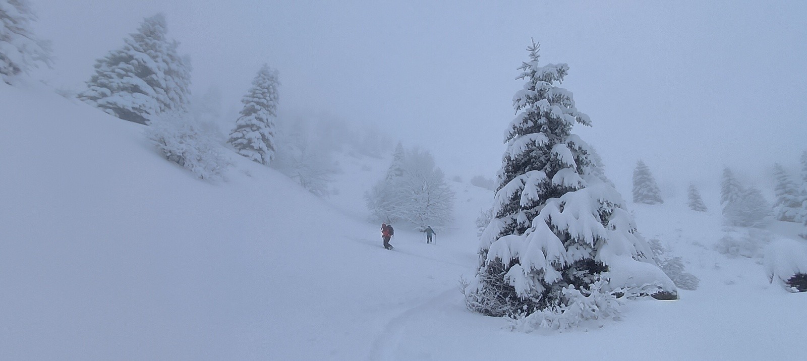 &nbsp;Combe de Chaulonge