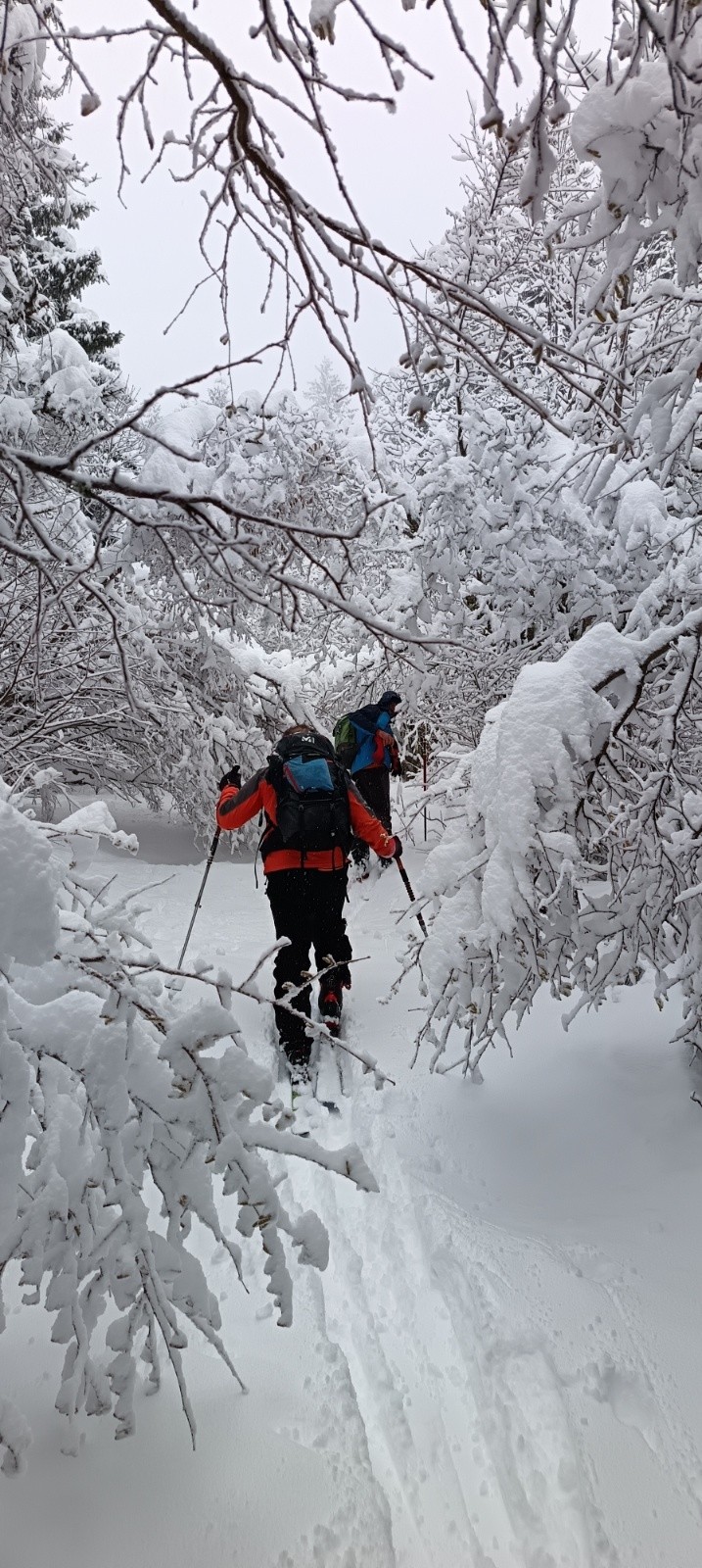 &nbsp;Chemin encombré&nbsp;