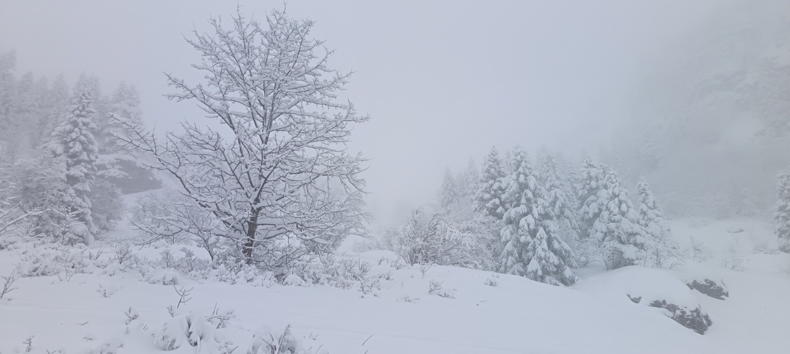 &nbsp;Paysages monochromes du jour&nbsp;