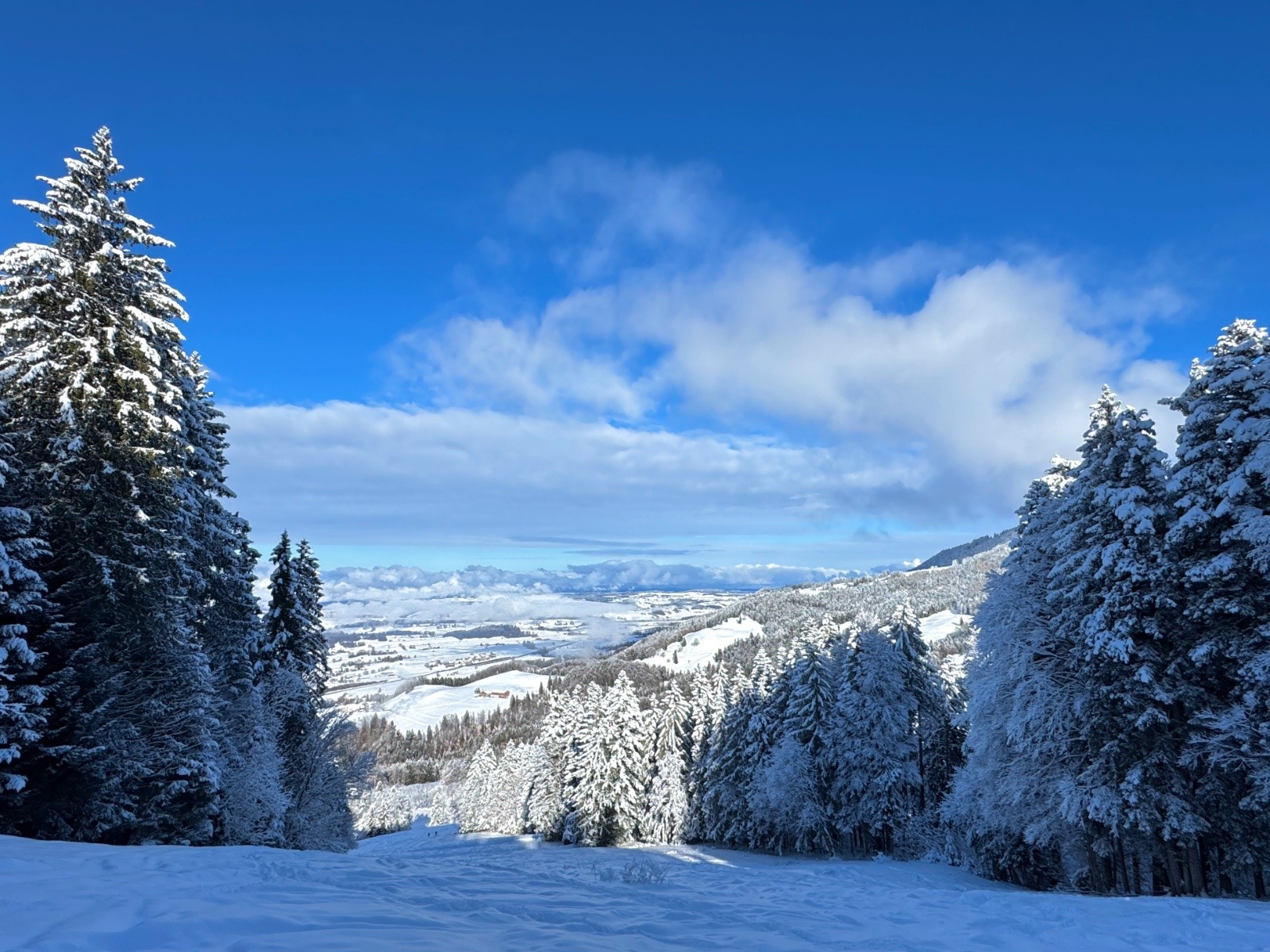 Partie médiane, vue sur le Plateau