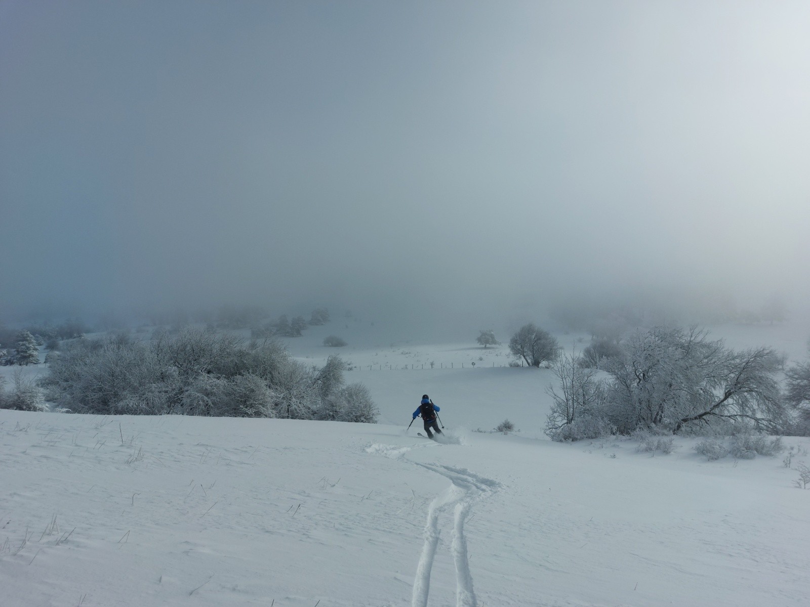 plongée dans la brume&nbsp;