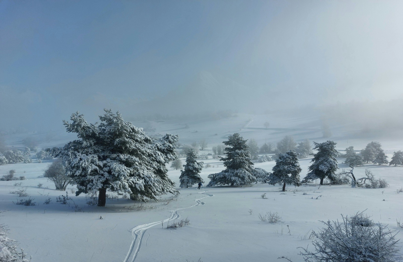 tant que ça glisse&nbsp;