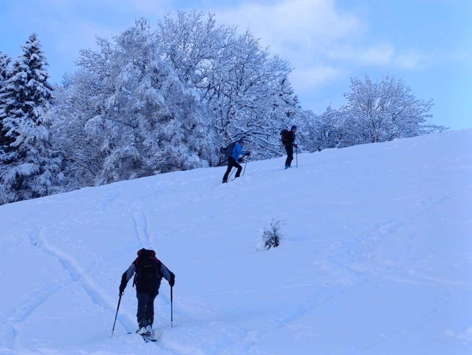 Scia s'arrange..&nbsp;