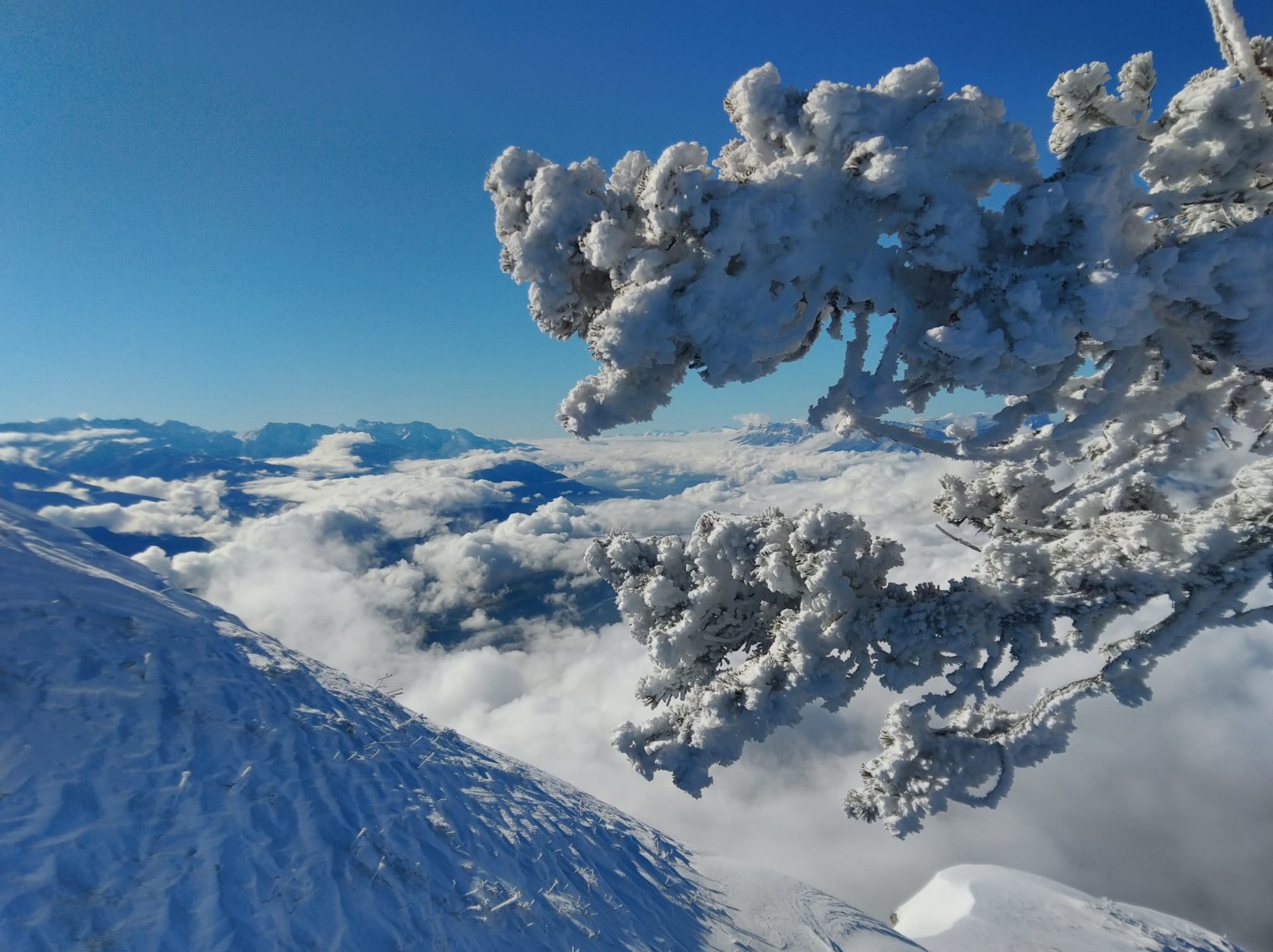 #1 dédicace Taramon ? dédicace Taramon ?